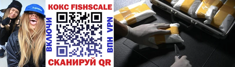 хочу наркоту  Биробиджан  COCAIN FishScale 