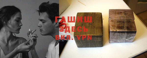 хмурый Алексин
