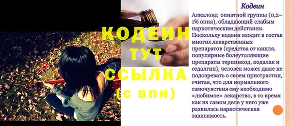 хмурый Алексин