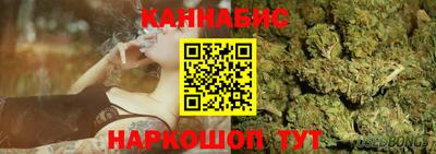 сатива Можайск