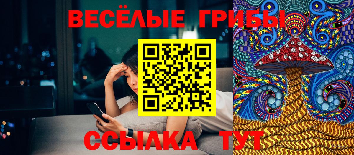 Псилоцибиновые грибы Psilocybe  Псилоцибиновые грибы прущие грибы  Вход с VPN  Биробиджан 